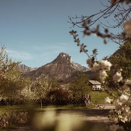 Primushaeusl Gaestehaus Homestay Strobl