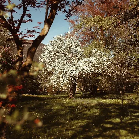 Primushaeusl Gaestehaus Strobl