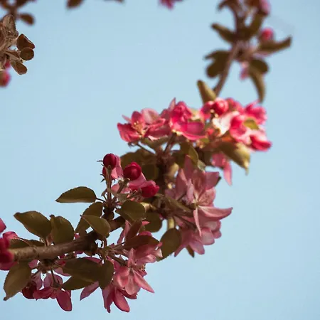 Primushaeusl Gaestehaus