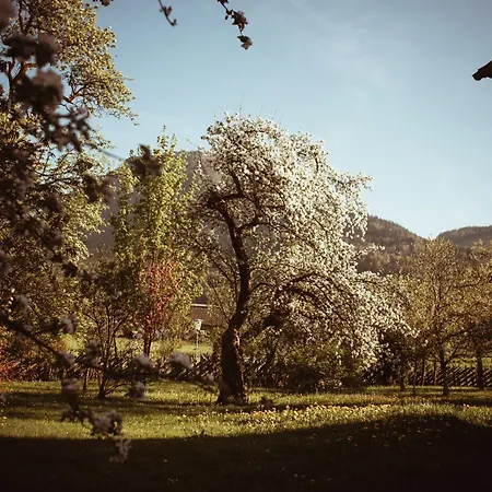 Primushaeusl Gaestehaus Homestay