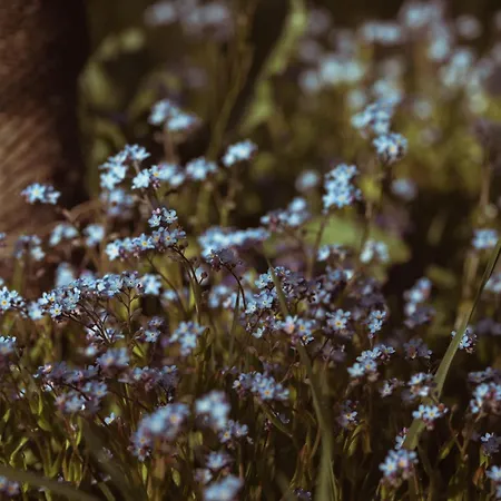 Primushaeusl Gaestehaus * Strobl