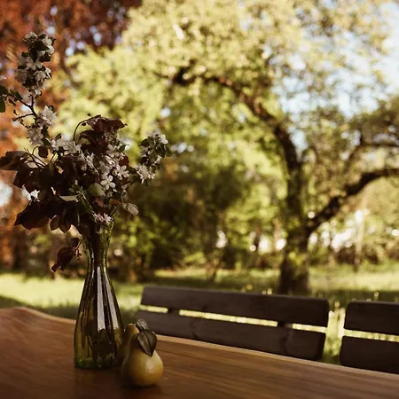 Homestay Primushaeusl Gaestehaus *