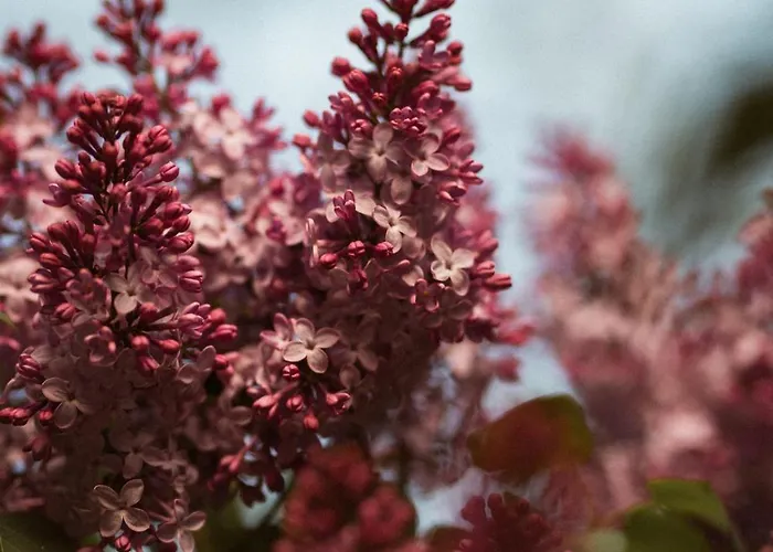 Primushaeusl Gaestehaus *