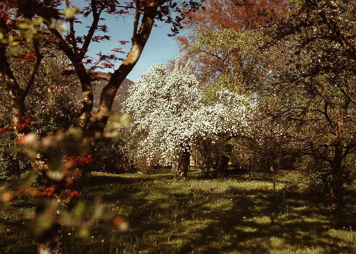 Primushaeusl Gaestehaus שטרובל