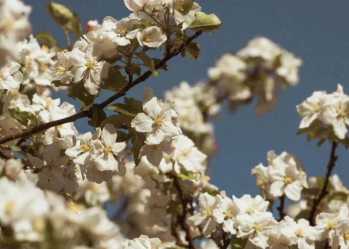 Primushaeusl Gaestehaus שטרובל