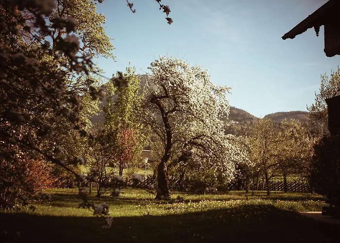 Primushaeusl Gaestehaus Ubytování v soukromí