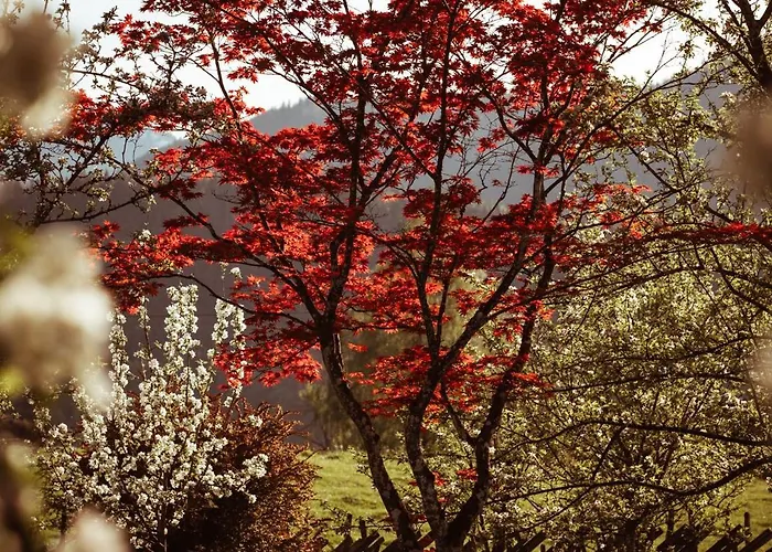 Primushaeusl Gaestehaus בית אירוח