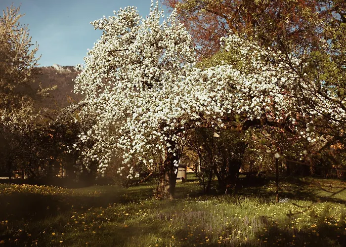 בית אירוח Primushaeusl Gaestehaus *