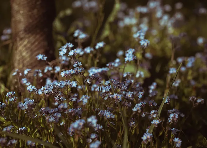 Primushaeusl Gaestehaus * שטרובל