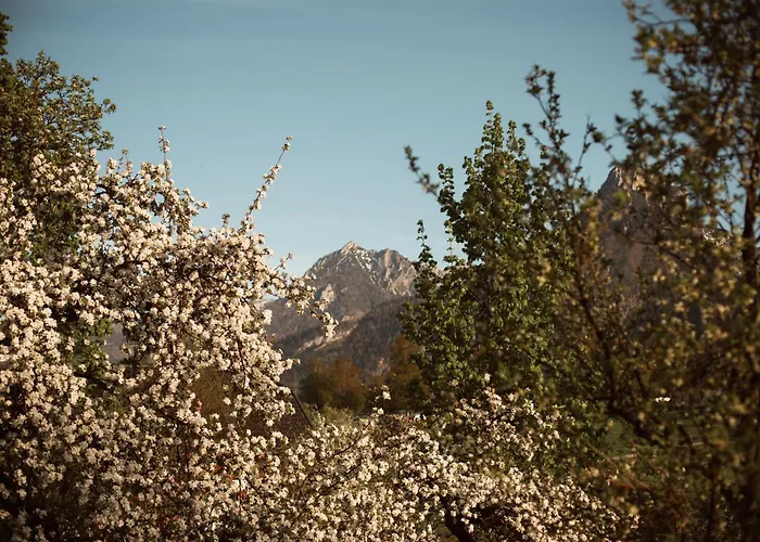 Primushaeusl Gaestehaus בית אירוח