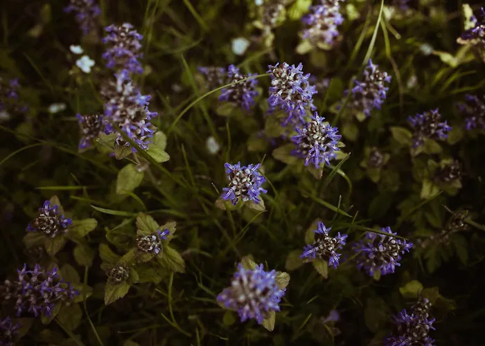 Primushaeusl Gaestehaus *