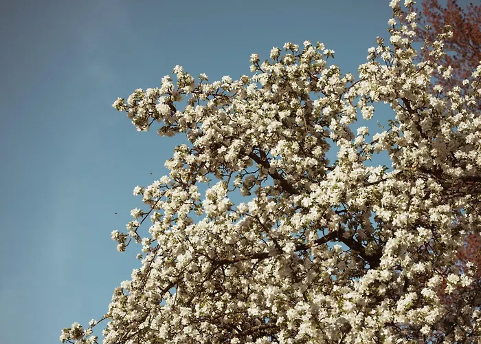 Primushaeusl Gaestehaus בית אירוח *